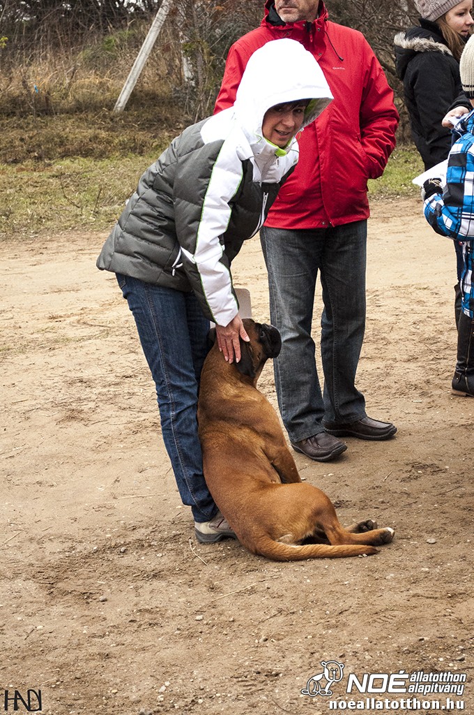 buekkupa20140101_21.jpg