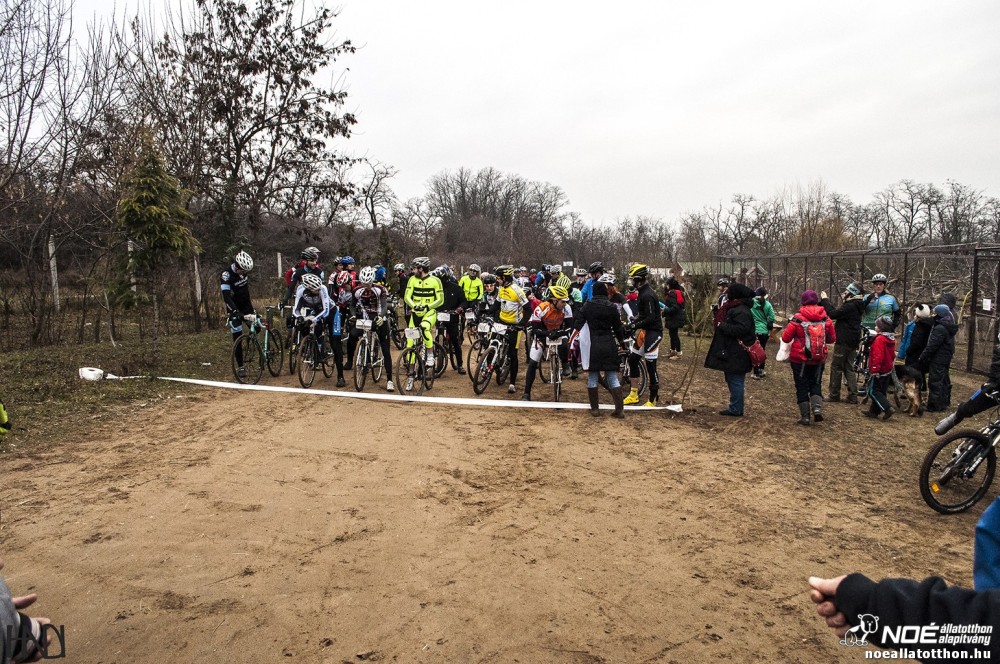 buekkupa20140101_56.jpg