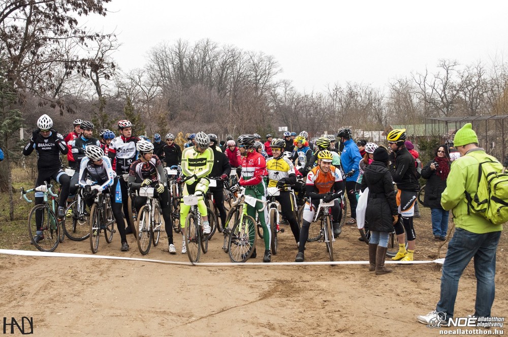buekkupa20140101_57.jpg