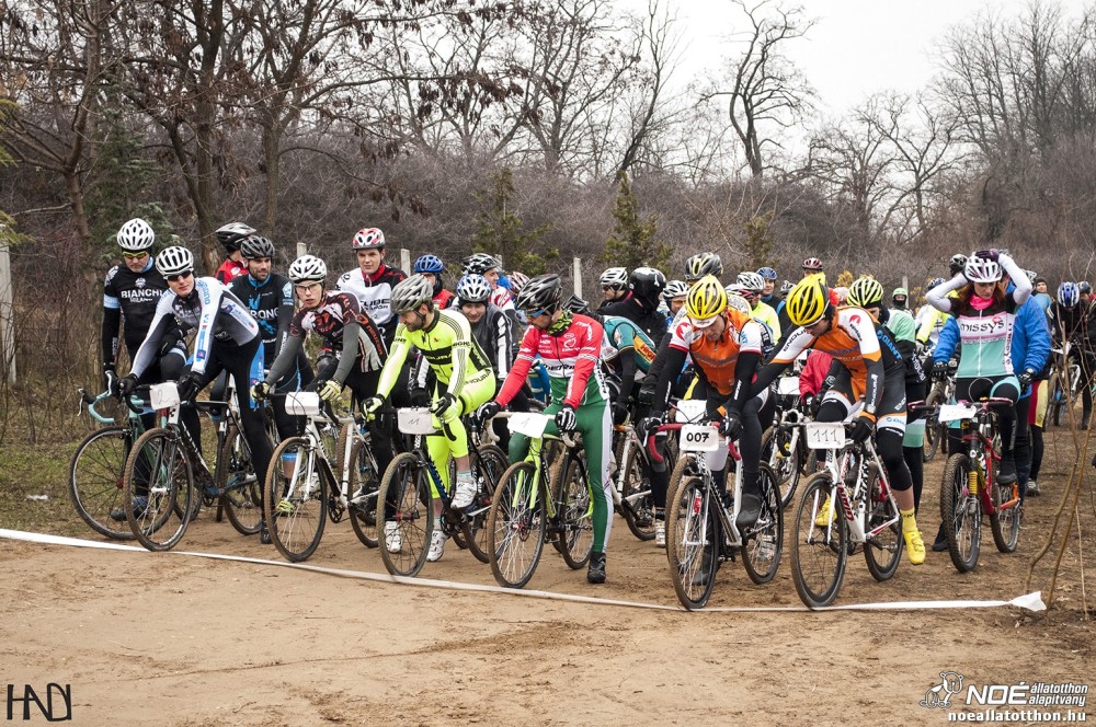 buekkupa20140101_66.jpg