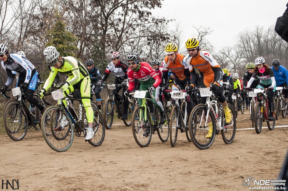 buekkupa20140101_71.jpg
