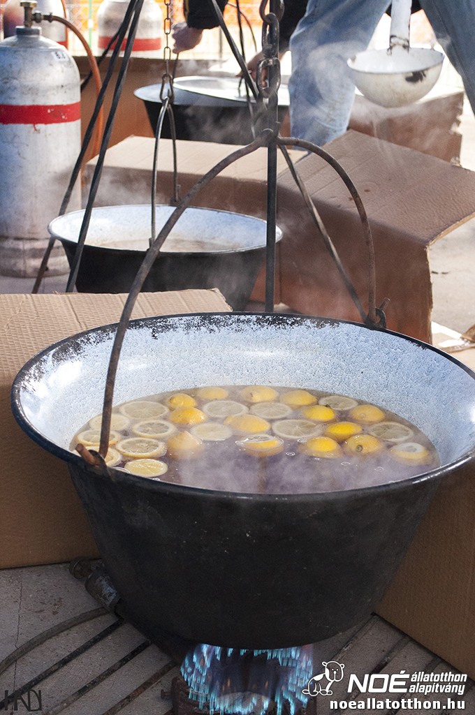 buekkupa20140101_82.jpg