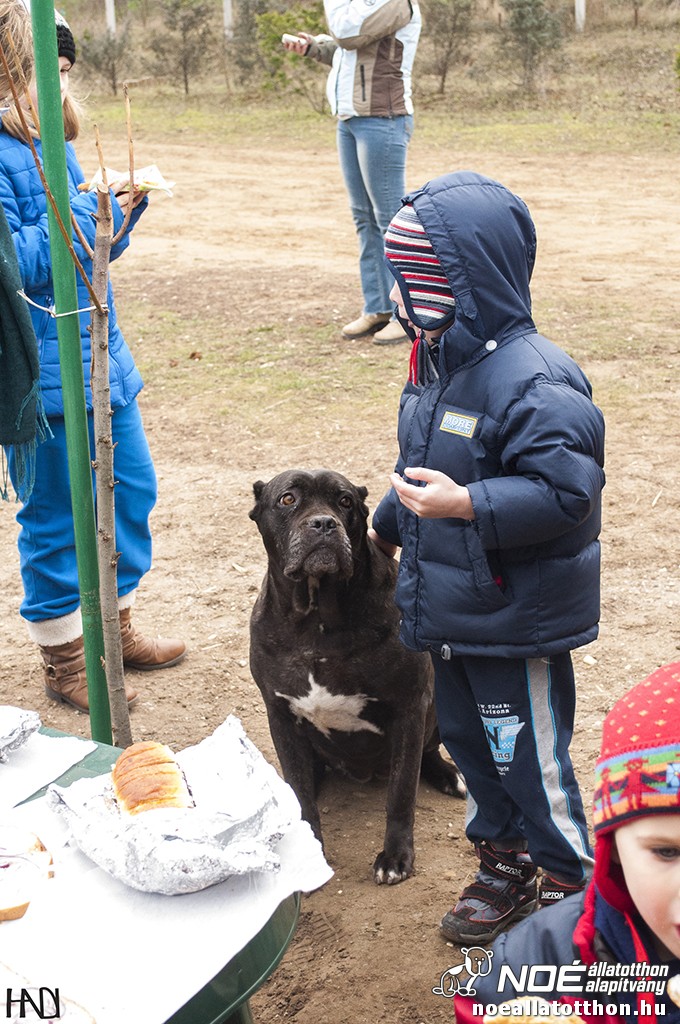 buekkupa20140101_87.jpg