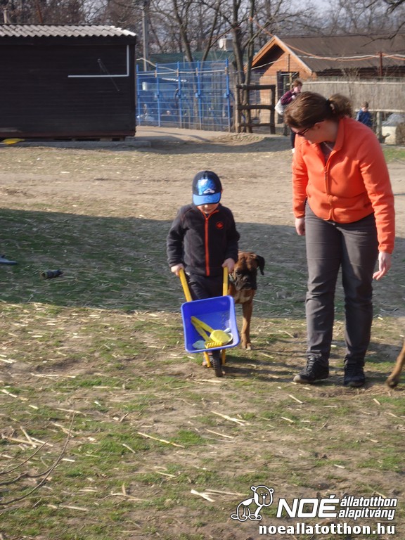 dsc03083.jpg