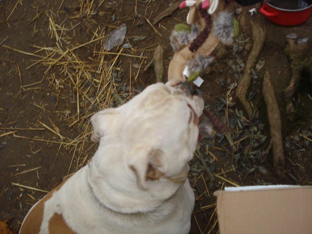 dsc05836.jpg