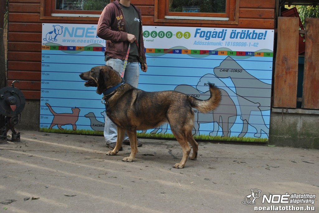 dsc_0672.jpg