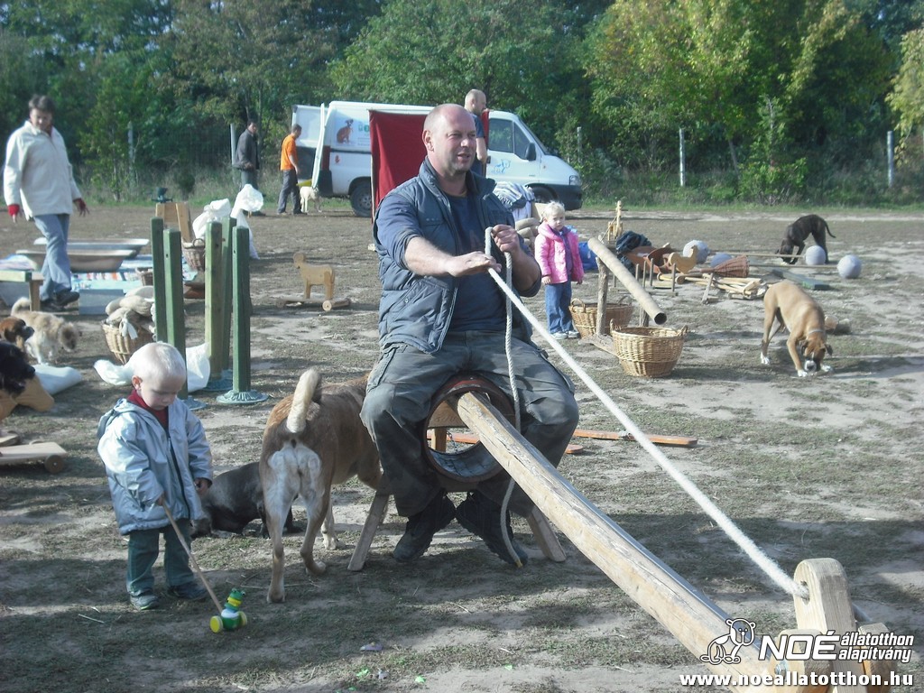 dscf8037.jpg