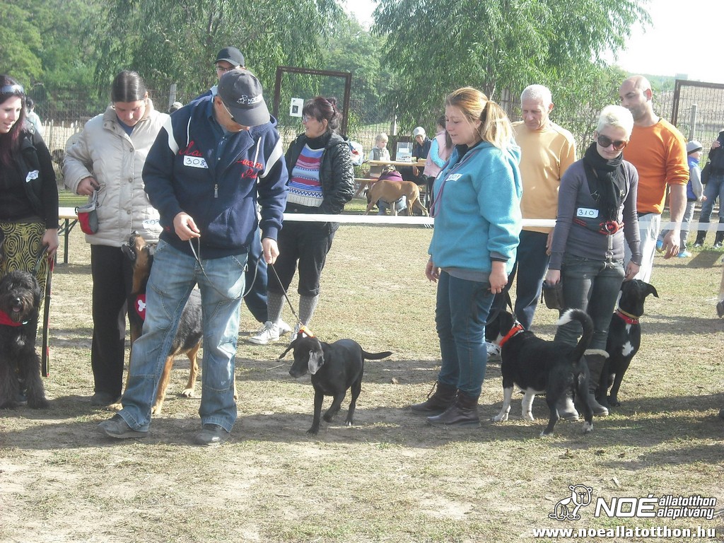 dscf8172.jpg