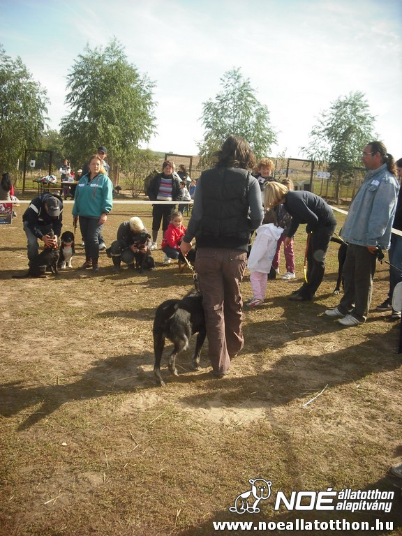 dscf8181.jpg