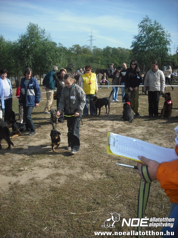 dscf8182.jpg