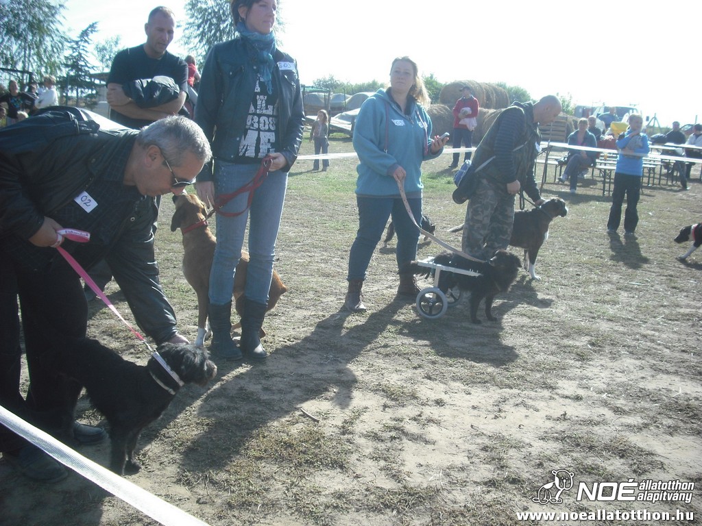 dscf8189.jpg