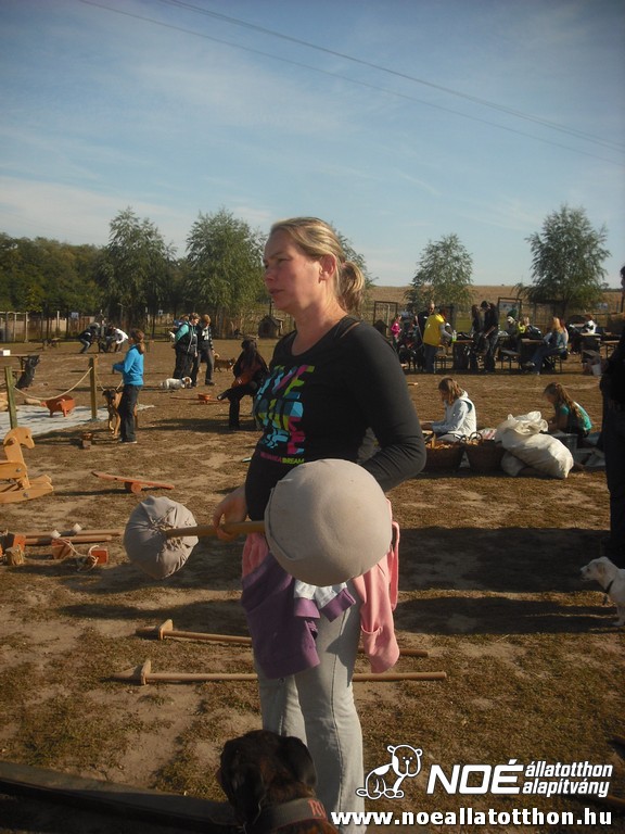 dscf8213.jpg