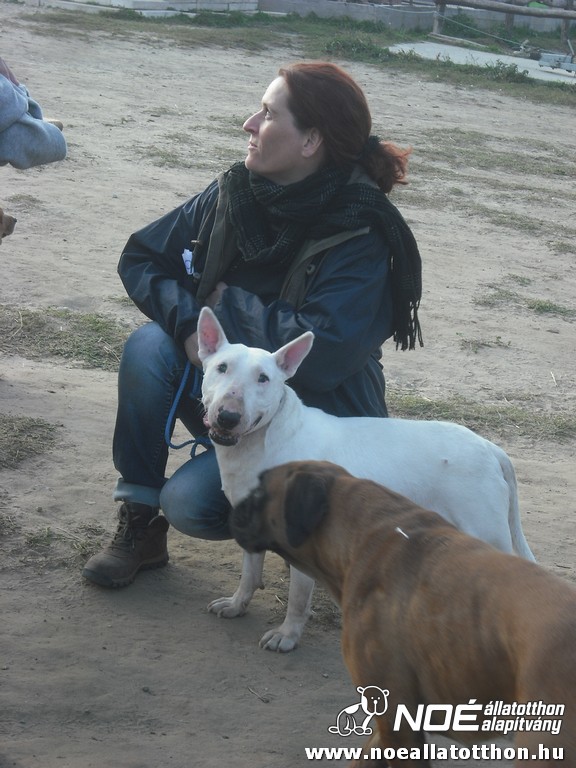 dscf8246.jpg
