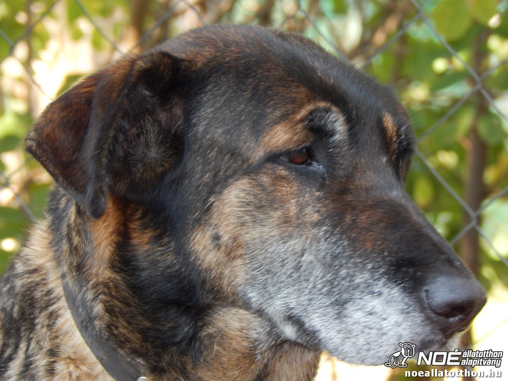 dscn4858.jpg