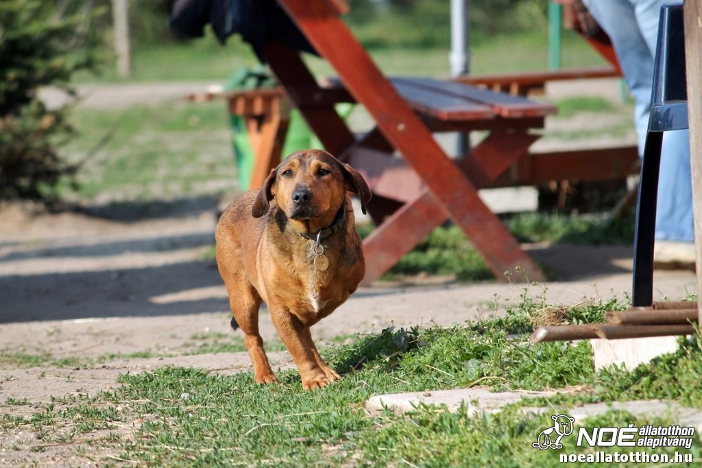img_7659_medium.jpg