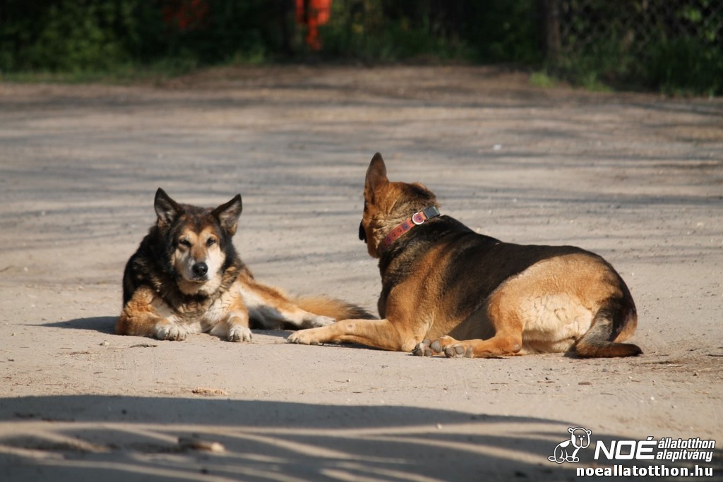 img_7678_medium.jpg