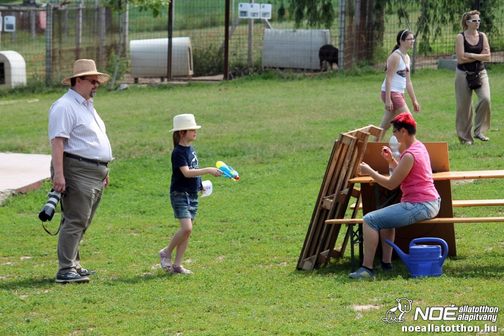 img_9728_medium.jpg