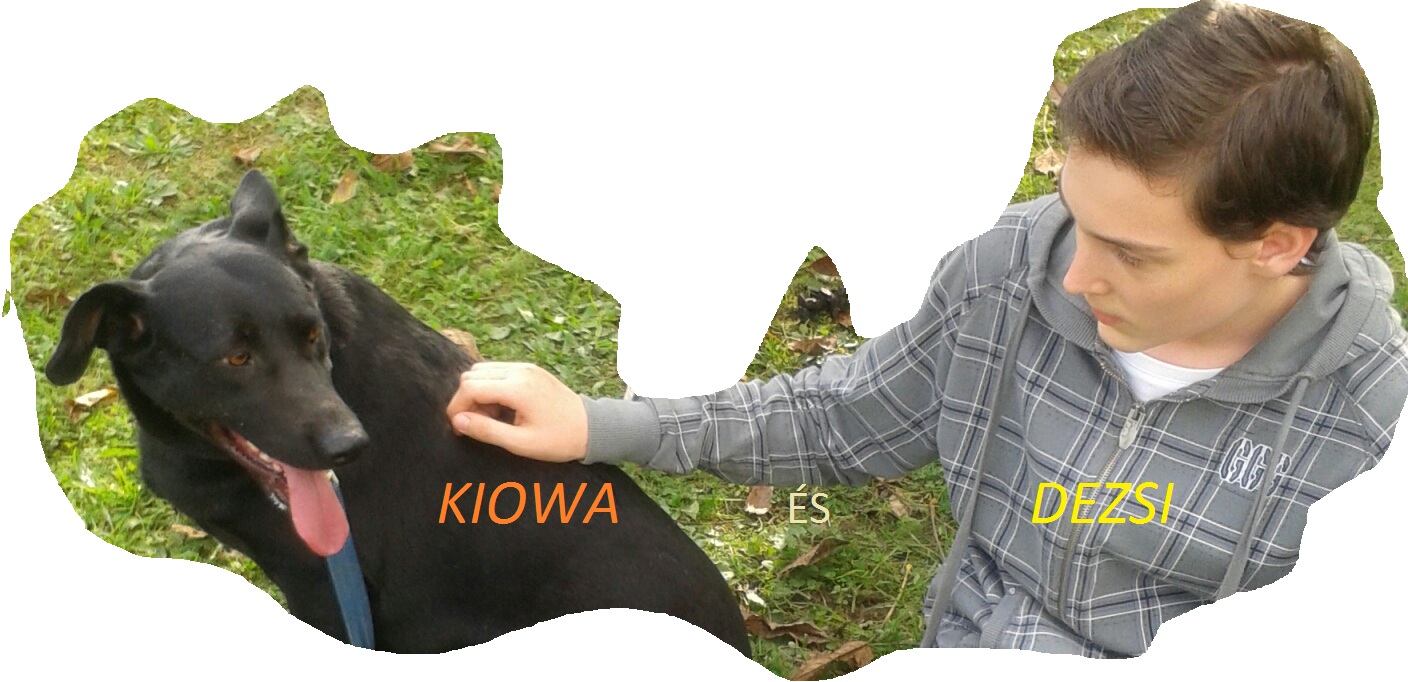 kiowa_s_dezsi.jpg