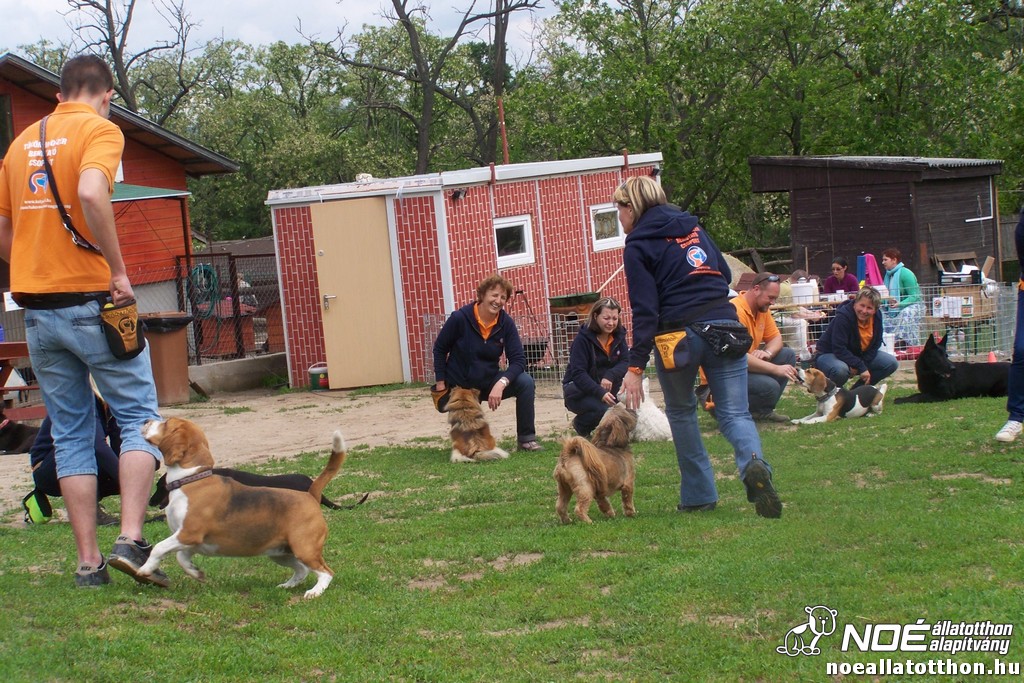 100_6360.jpg