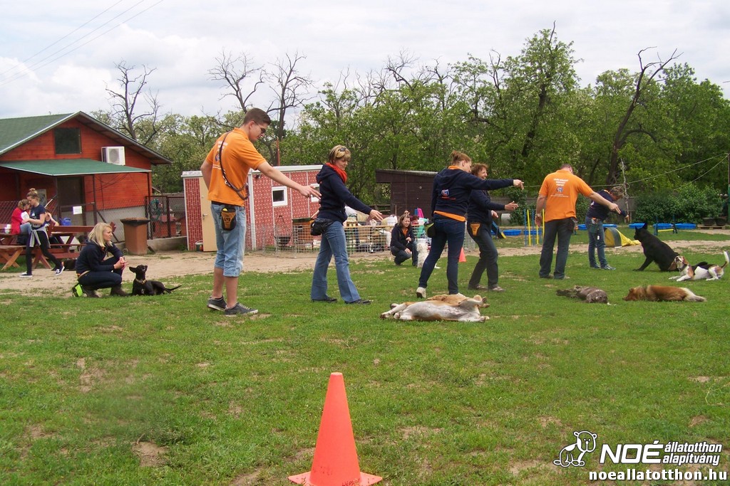 100_6364.jpg