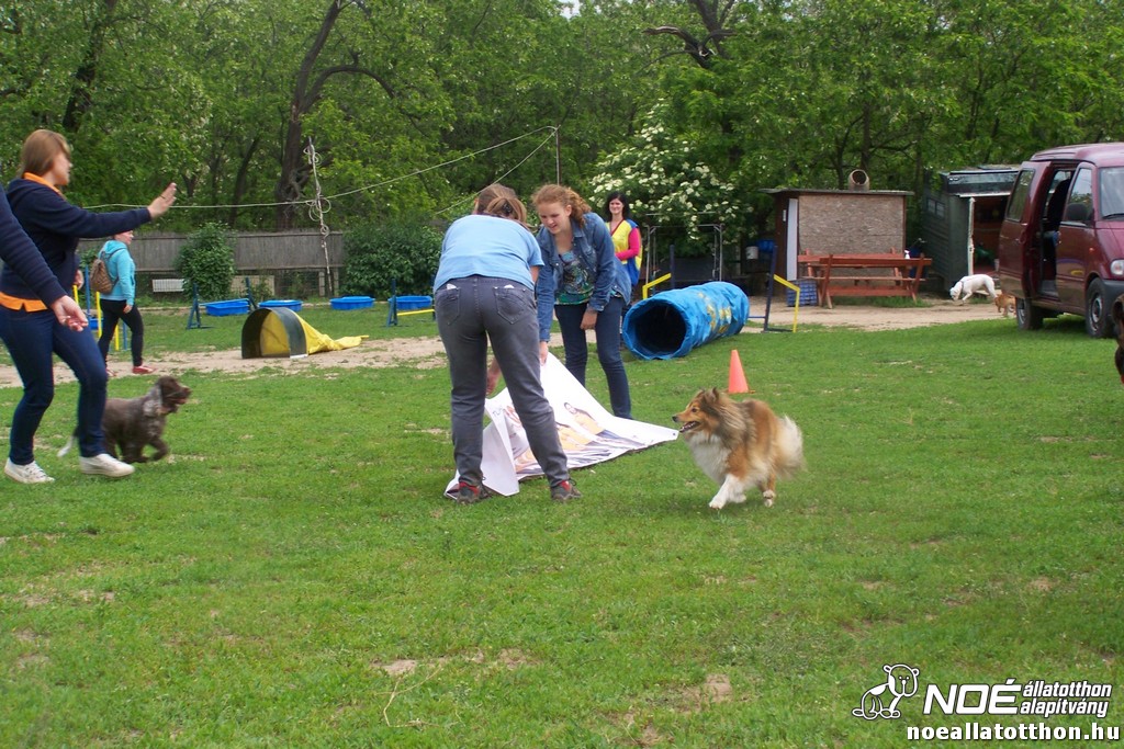 100_6369.jpg