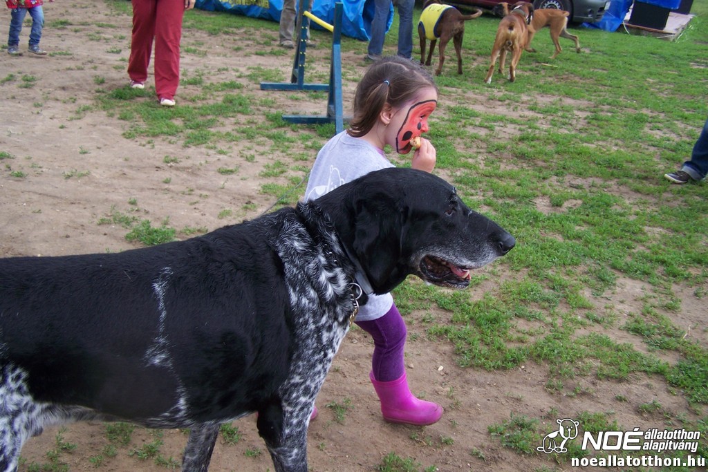 100_6433.jpg