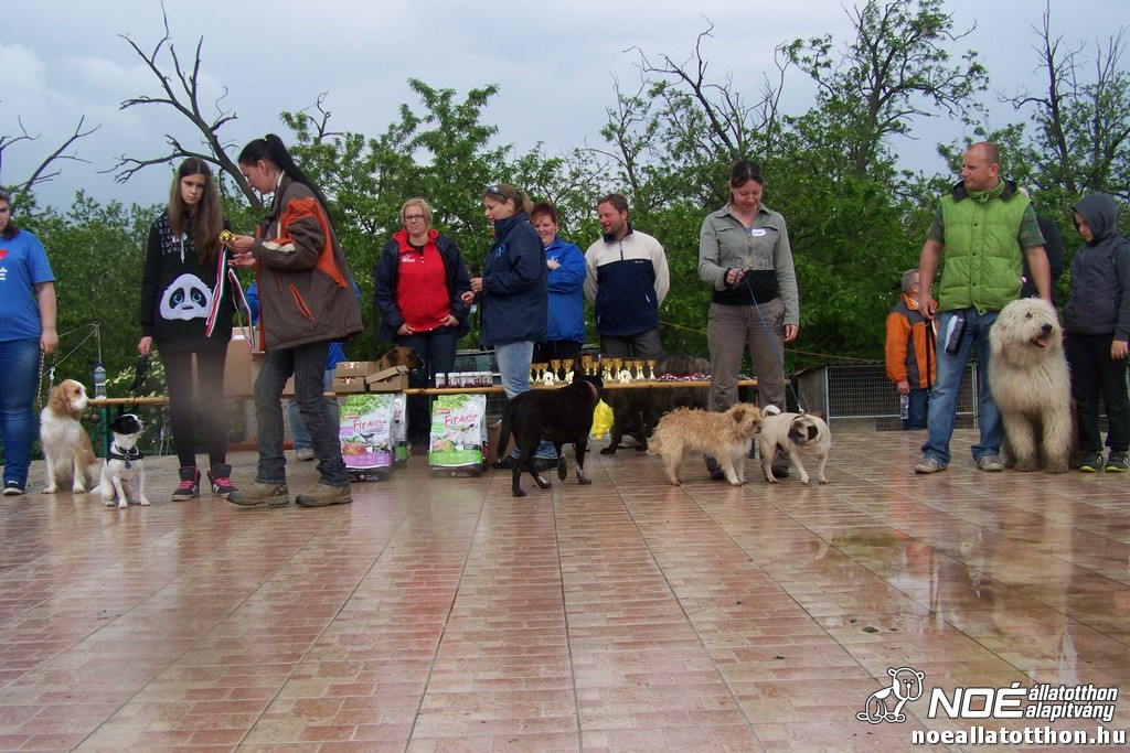 100_6443.jpg