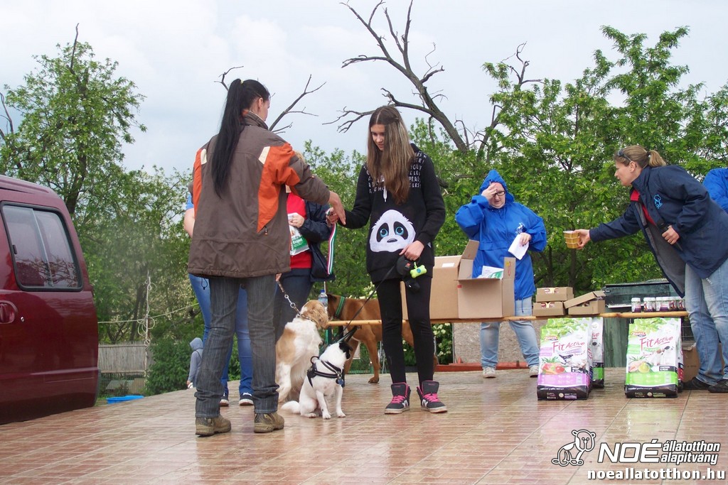 100_6444.jpg