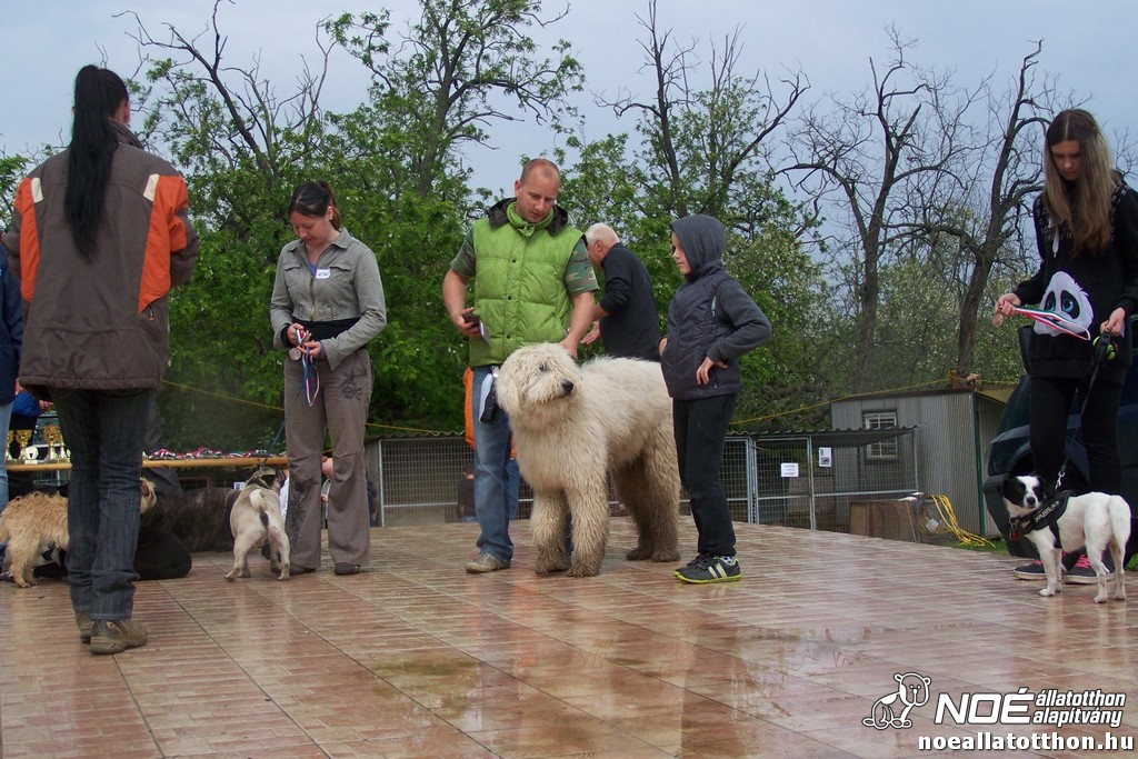 100_6445.jpg