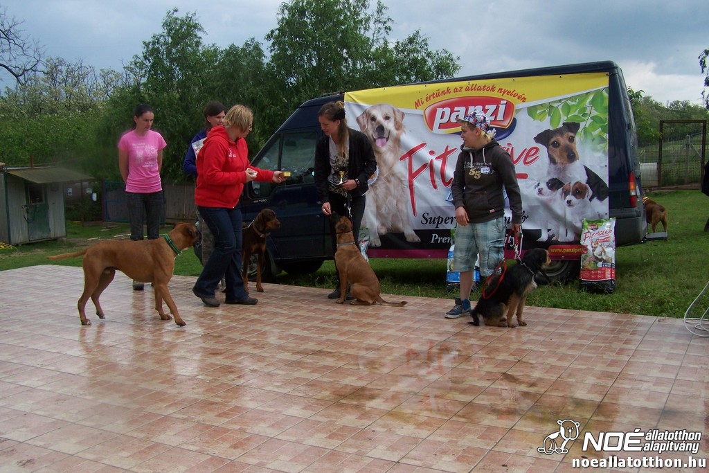 100_6453.jpg