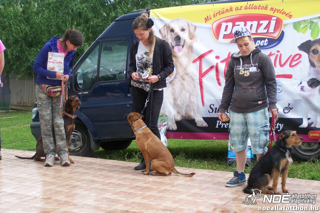100_6454.jpg