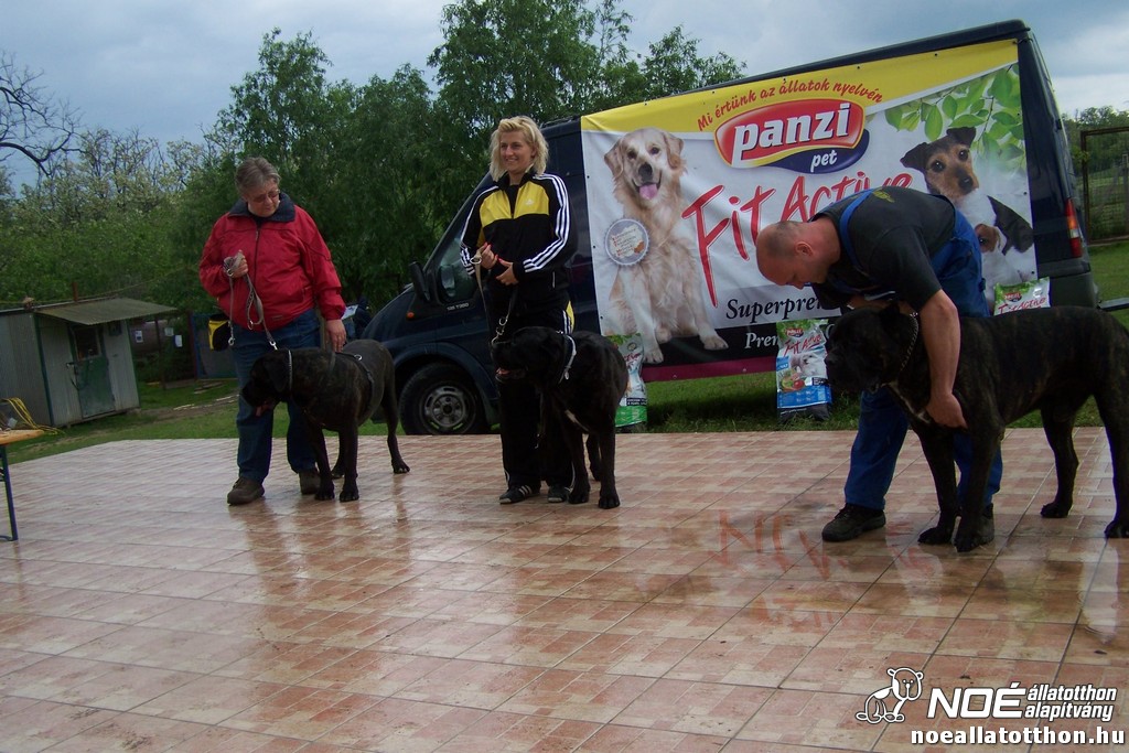 100_6457.jpg