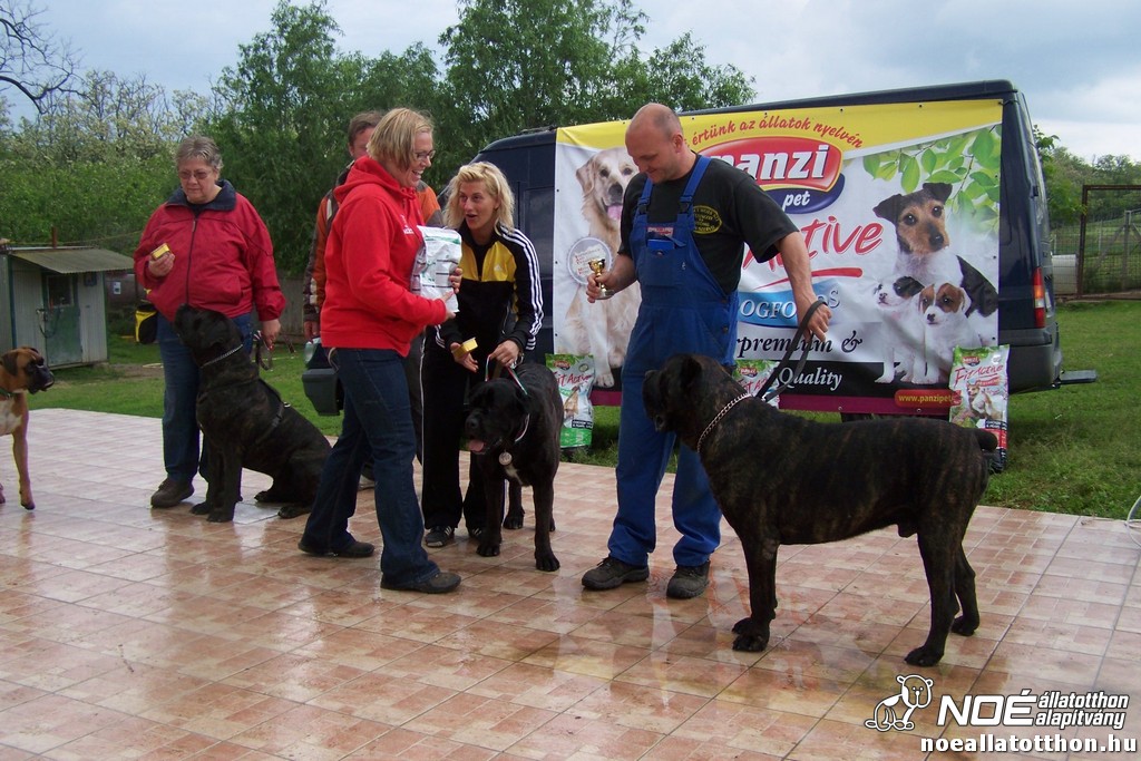 100_6460.jpg