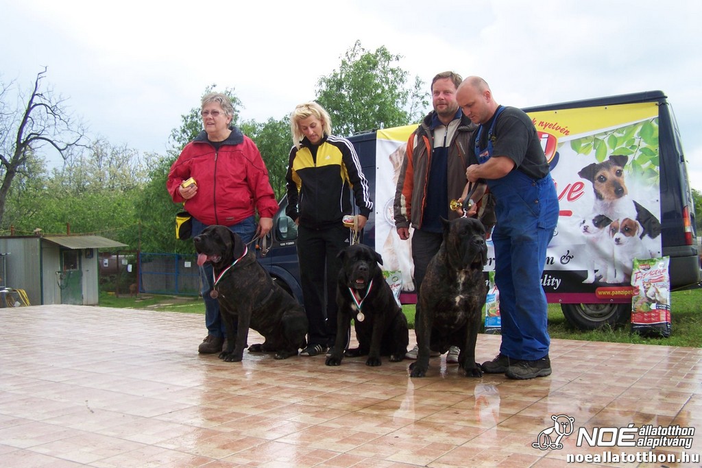 100_6461.jpg