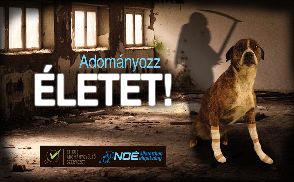 adomanyozzeletet02.jpg