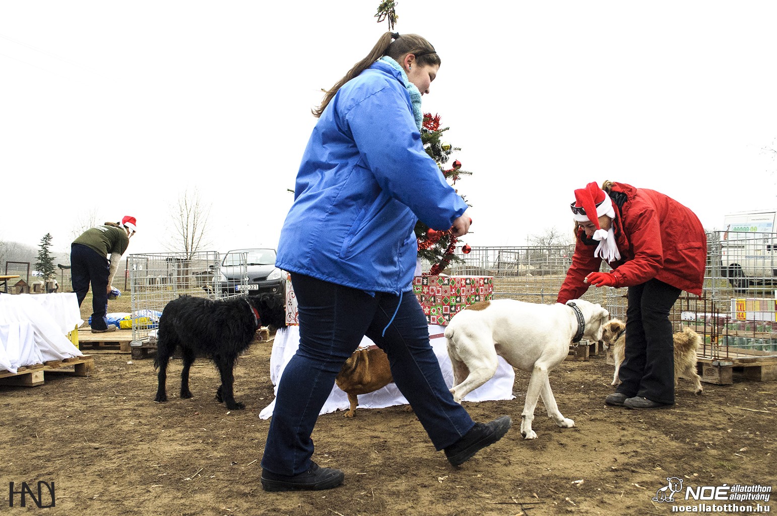 allatokkarija131214_19.jpg