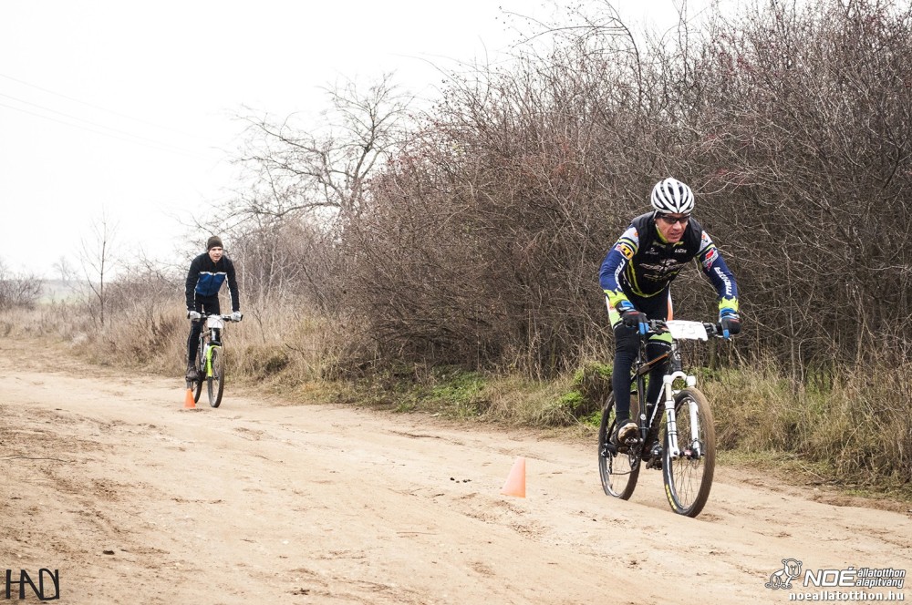 buekkupa20140101_106.jpg