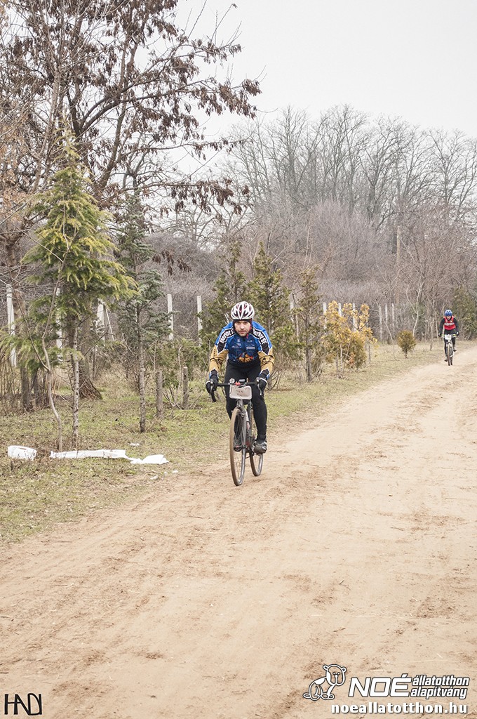 buekkupa20140101_115.jpg