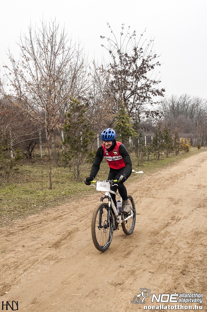 buekkupa20140101_116.jpg