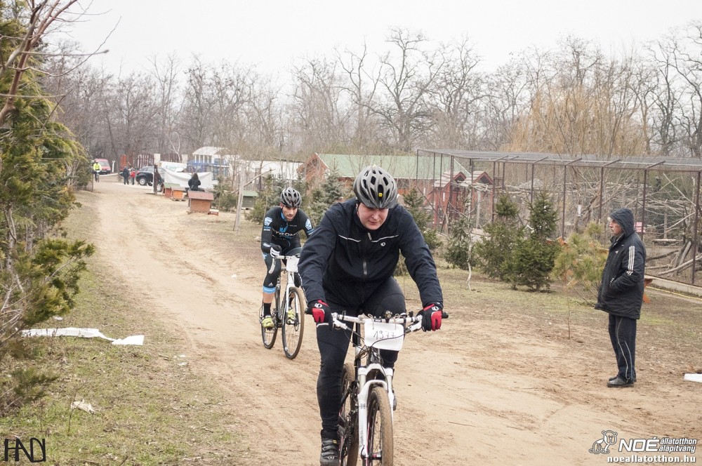 buekkupa20140101_125.jpg