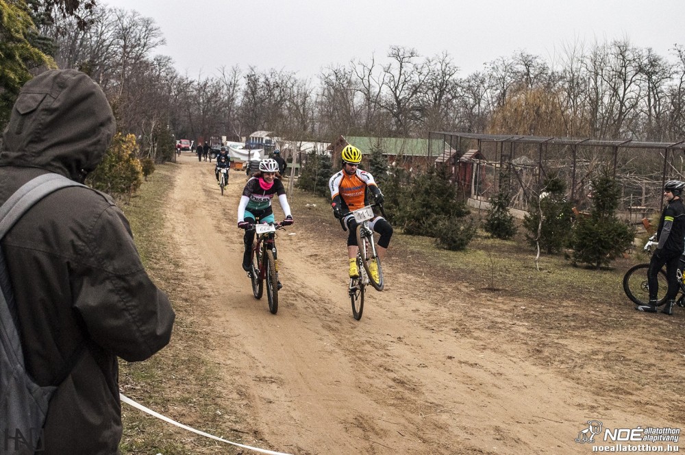 buekkupa20140101_162.jpg
