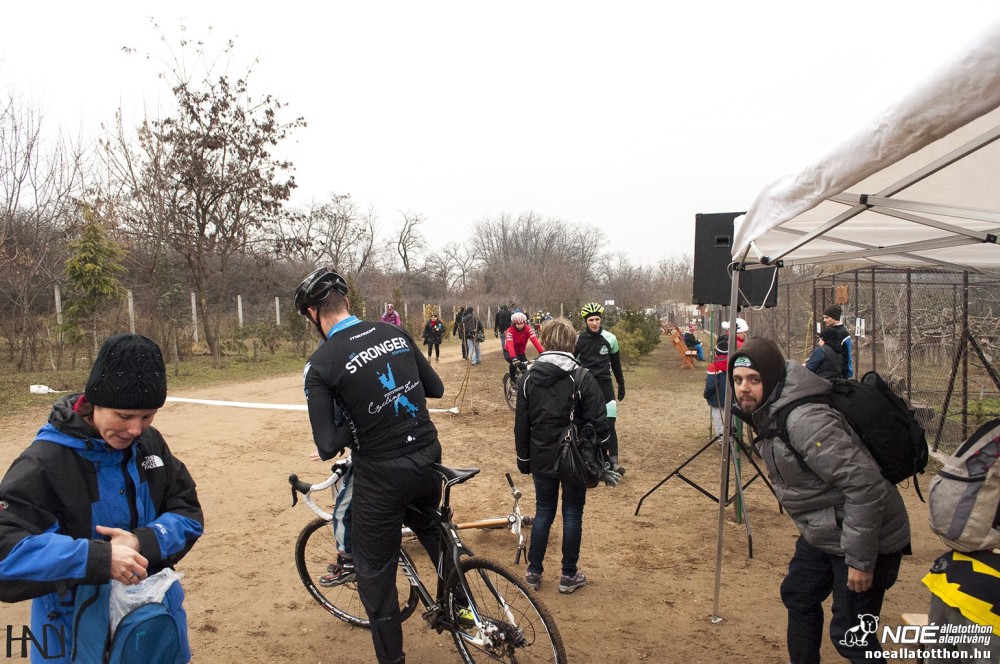 buekkupa20140101_49.jpg