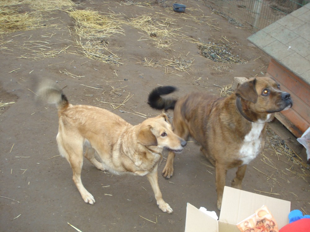 dsc05789.jpg