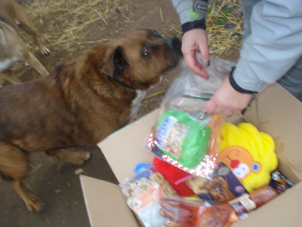 dsc05802.jpg
