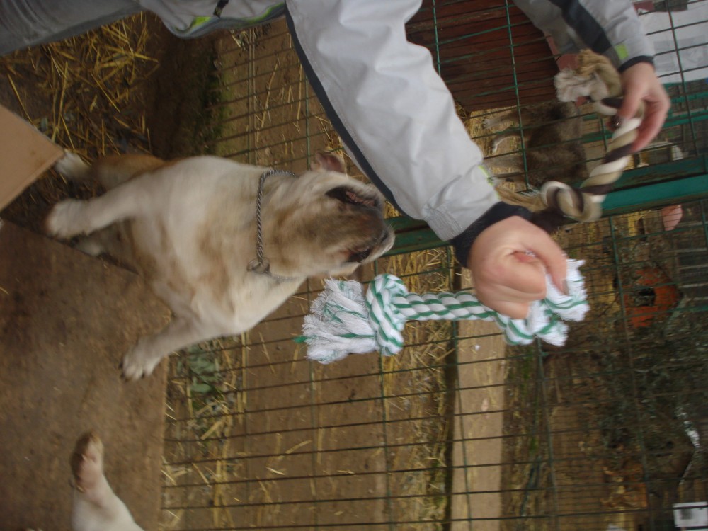 dsc05825.jpg