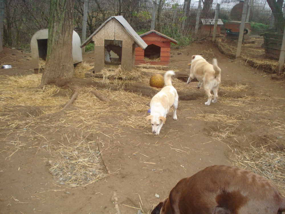 dsc05850.jpg