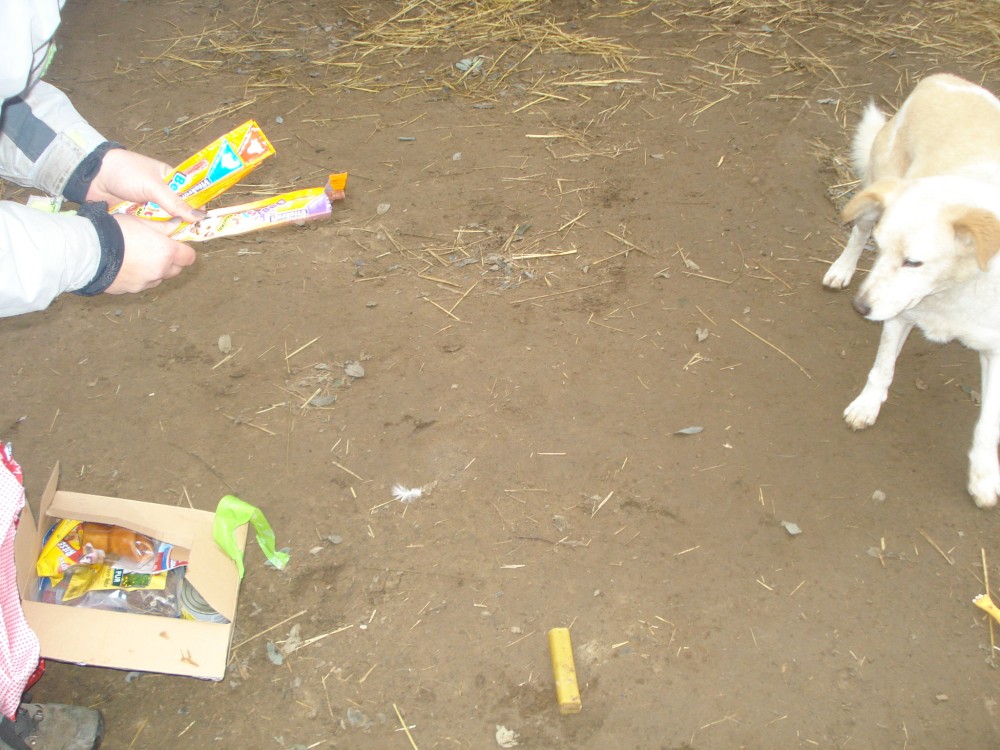 dsc05853.jpg