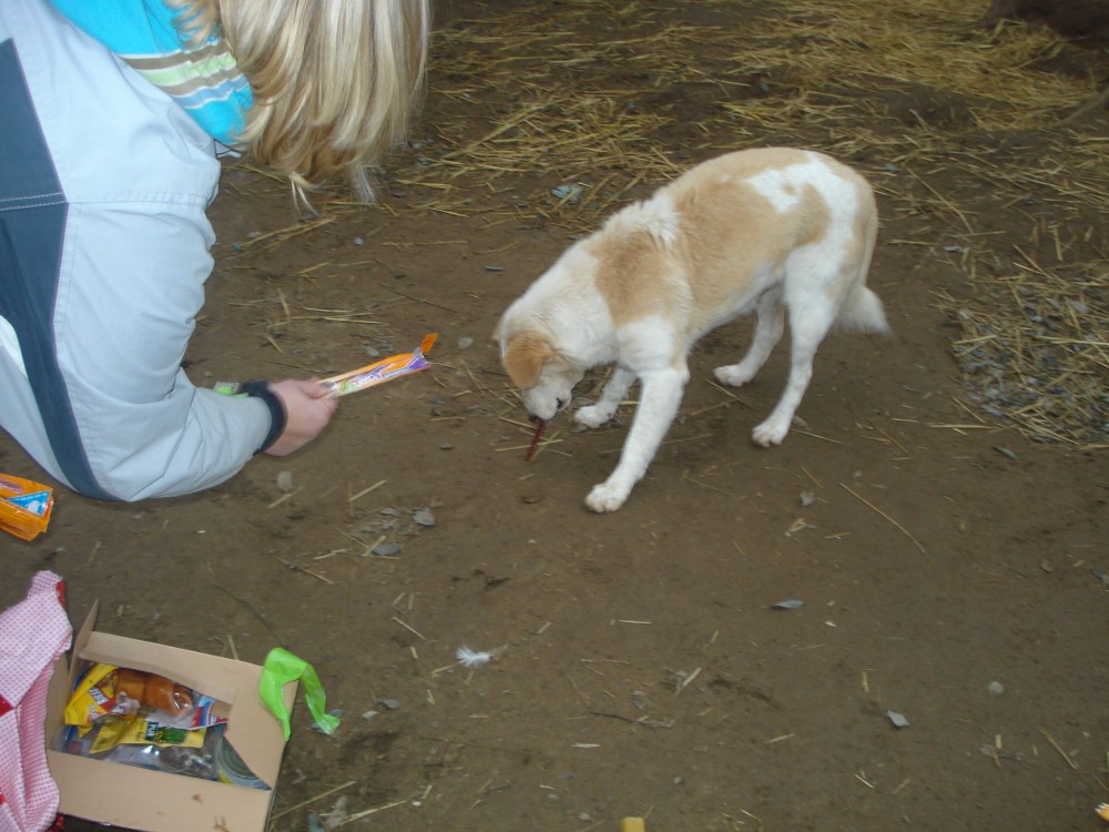 dsc05854.jpg