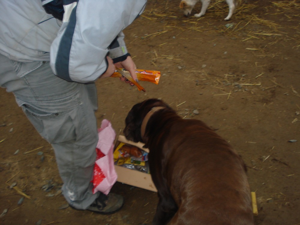 dsc05855.jpg