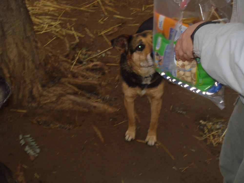 dsc05873.jpg